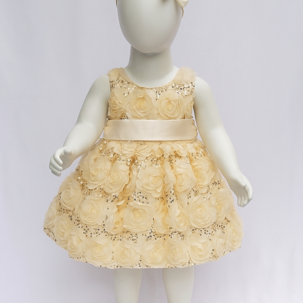 American Princess Little Golden Book Moments Fairy Princess Rose Dress 12 Months